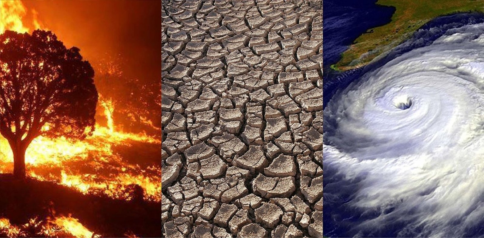Climate Change kya hai ? effect of climate change